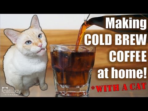 How to make COLD BREW COFFEE in a French Press! (with a cat…) – Cat Lady Fitness