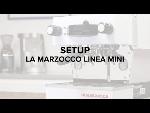 La Marzocco Linea Mini Espresso Machine Setup